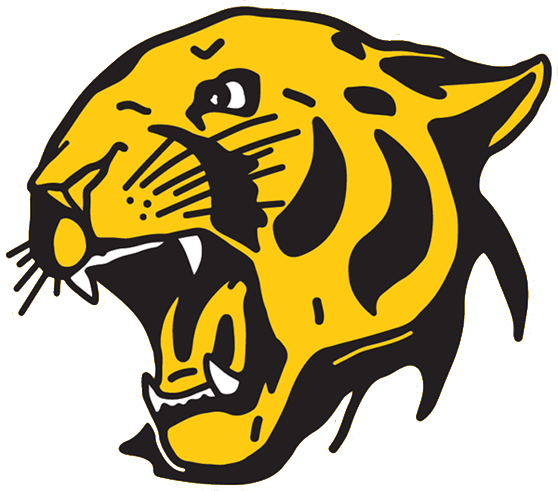 Capistrano Valley Cougars mascot head